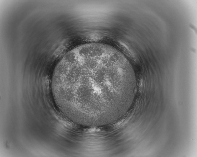 X0000093500366200710261142