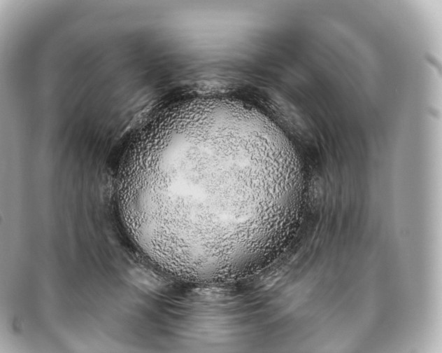 X0000093500367200710261142