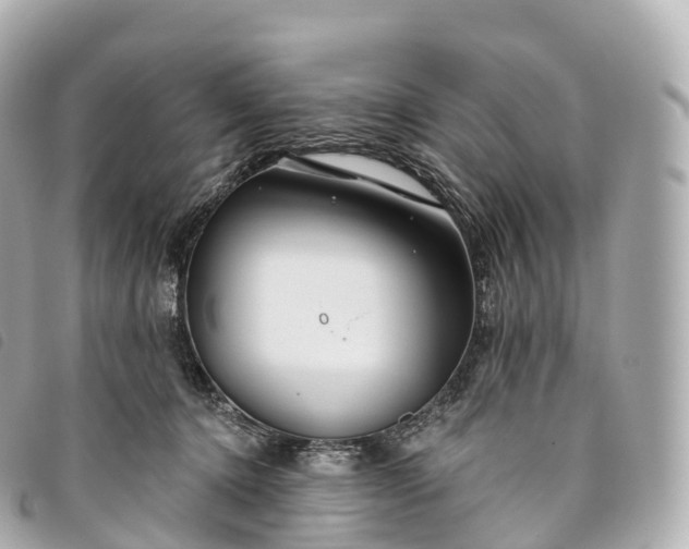 X0000093500368200710261142