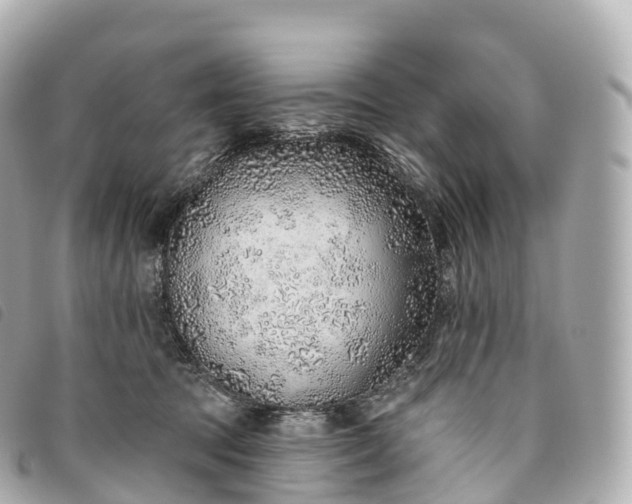 X0000093500369200710261142