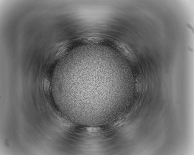 X0000093500371200710261142