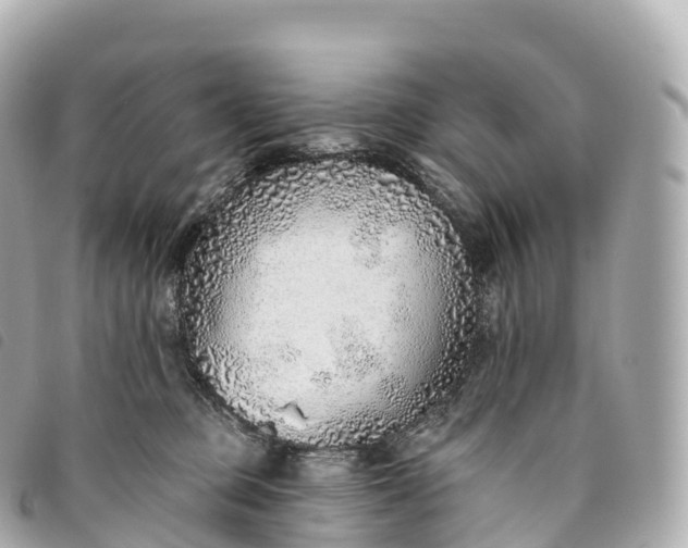 X0000093500373200710261142