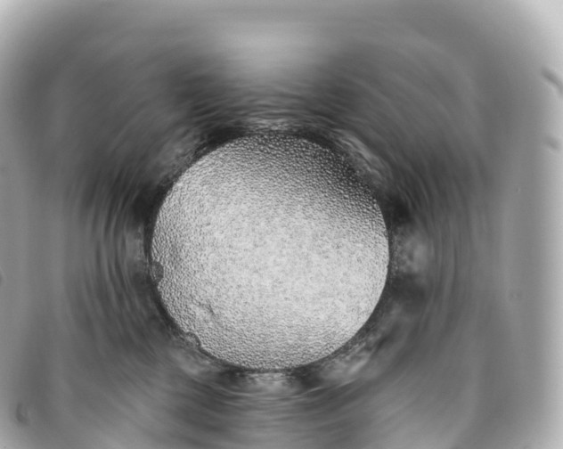 X0000093500377200710261142