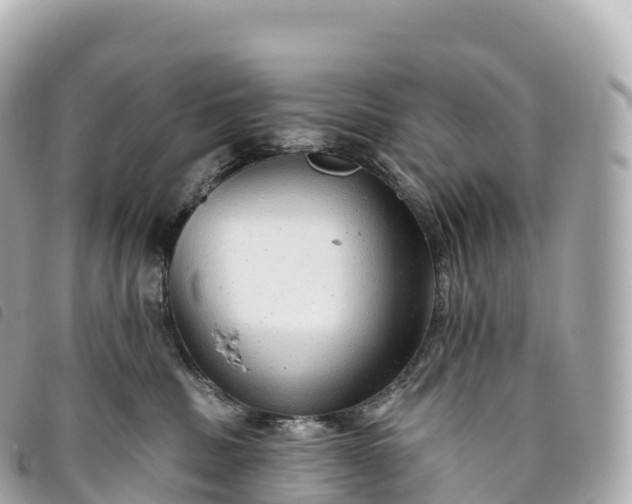 X0000093500379200710261142