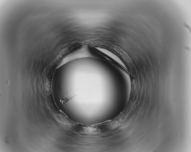 X0000093500380200710261142