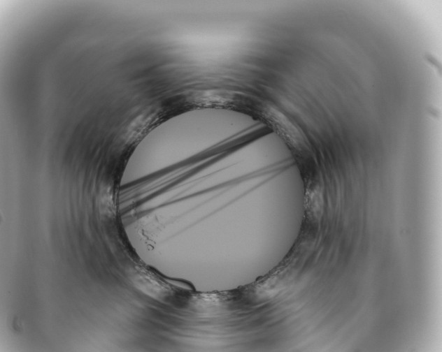 X0000093500381200710261142