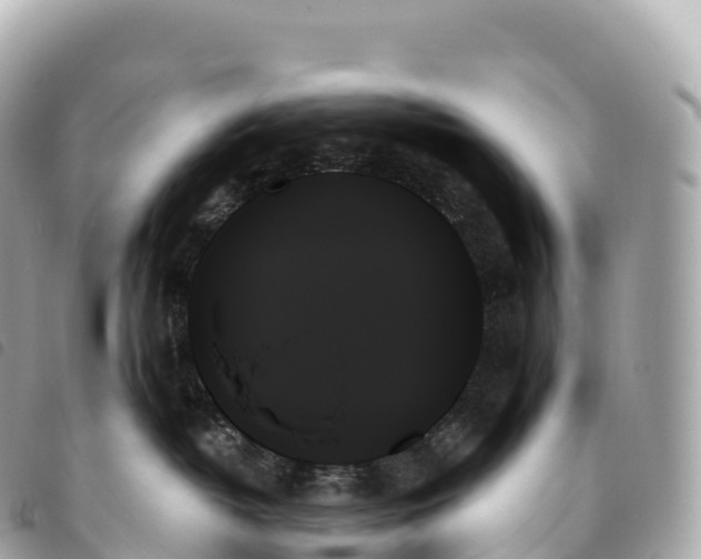 X0000093500382200710261142