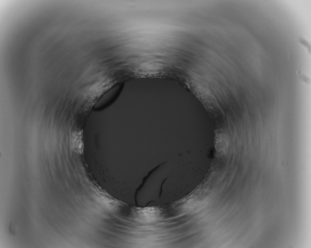 X0000093500383200710261142