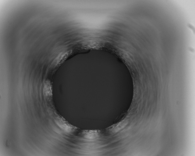 X0000093500384200710261142