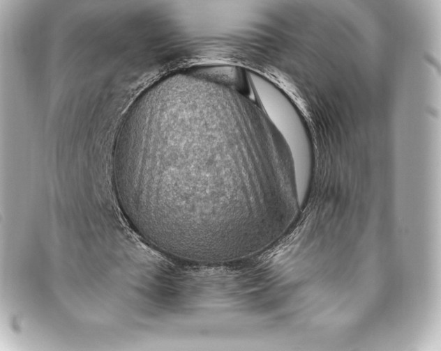 X0000093500385200710261142