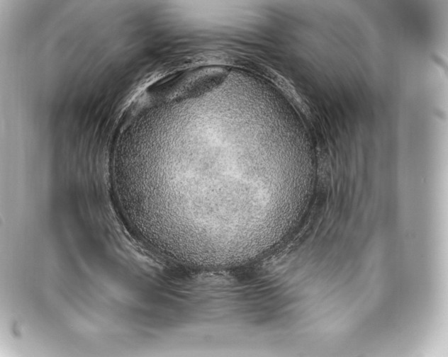 X0000093500386200710261142
