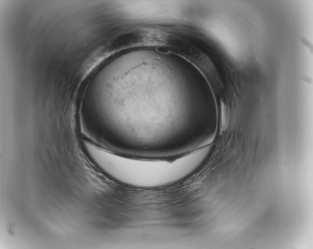 X0000093500387200710261142
