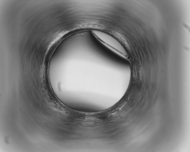X0000093500388200710261142