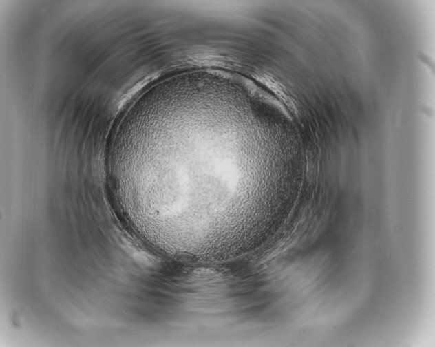 X0000093500390200710261142