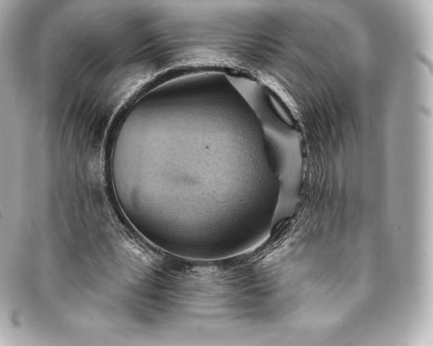X0000093500391200710261142