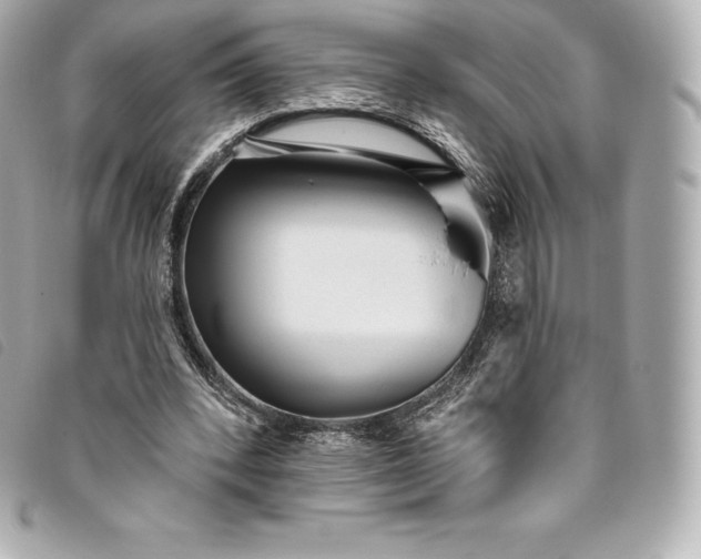 X0000093500392200710261142