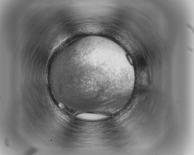X0000093500399200710261142