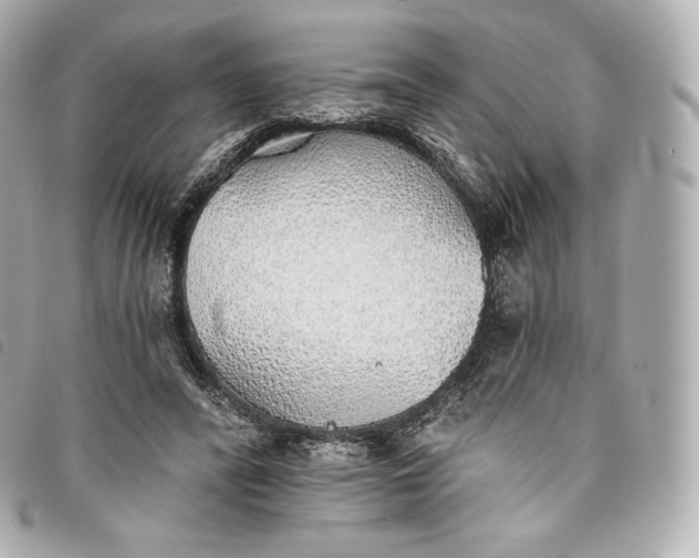 X0000093500400200710261142