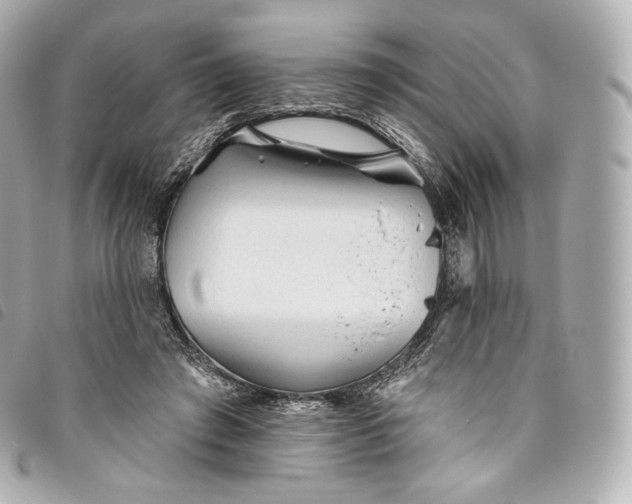 X0000093500401200710261142