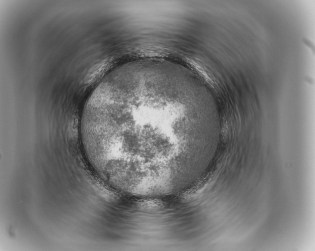 X0000093500402200710261141