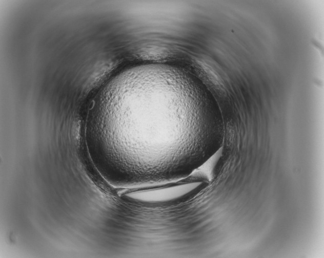 X0000093500404200710261141