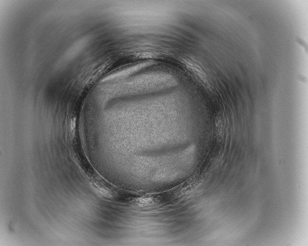 X0000093500406200710261141