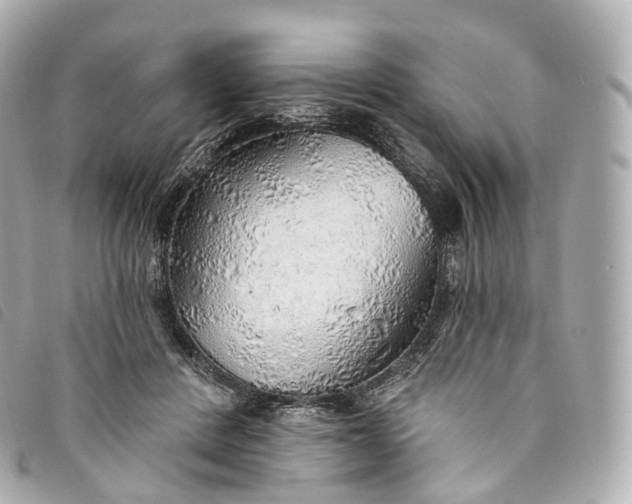 X0000093500408200710261141