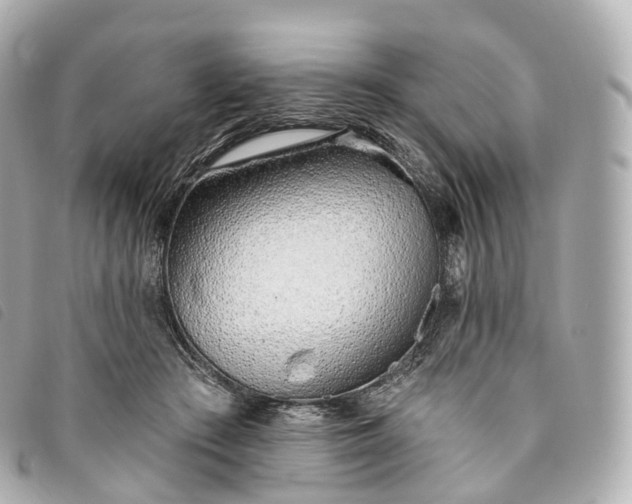 X0000093500409200710261141