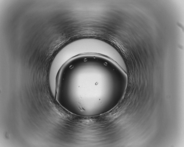 X0000093500411200710261141