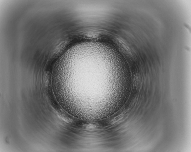 X0000093500412200710261141