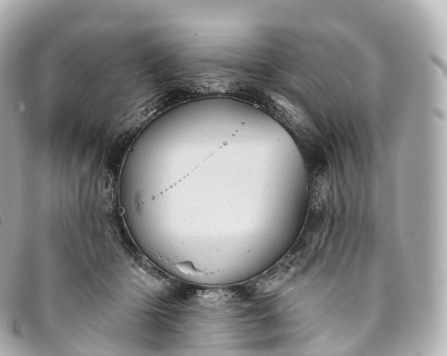 X0000093500414200710261141