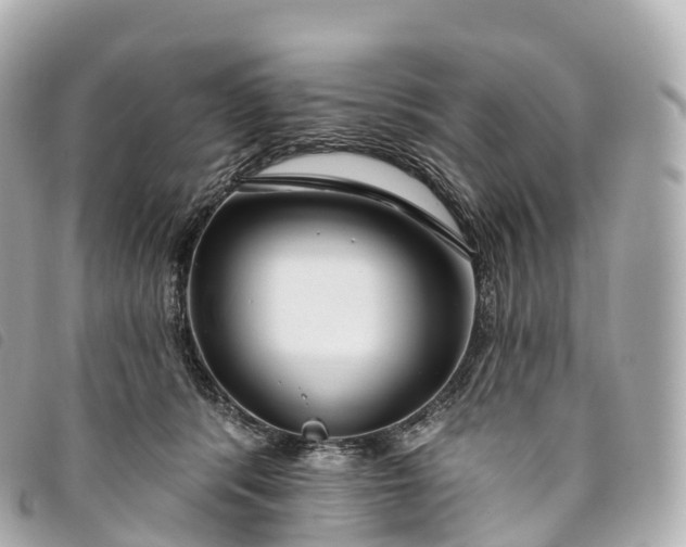 X0000093500416200710261141