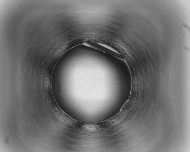 X0000093500417200710261141