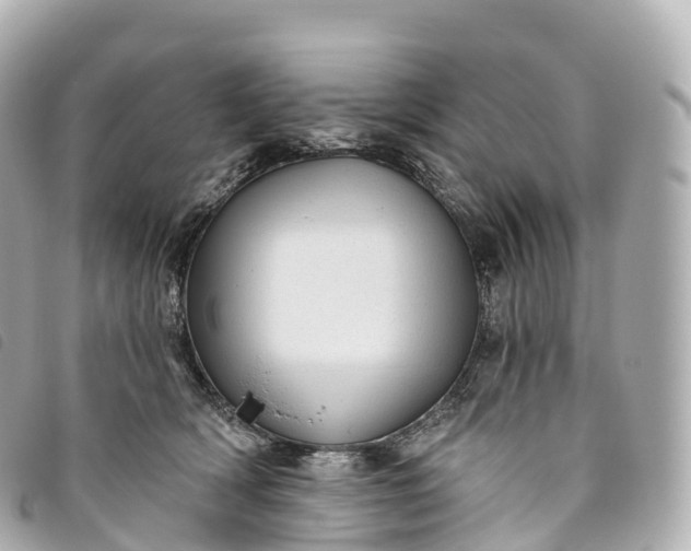 X0000093500418200710261141