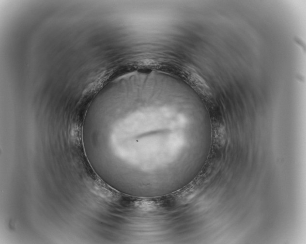 X0000093500419200710261141