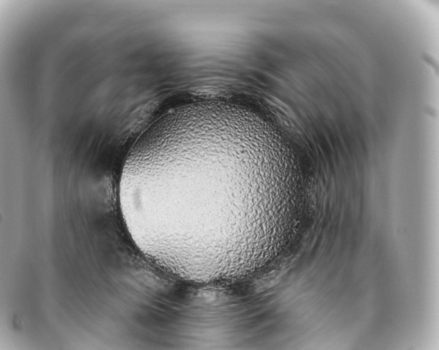 X0000093500420200710261141