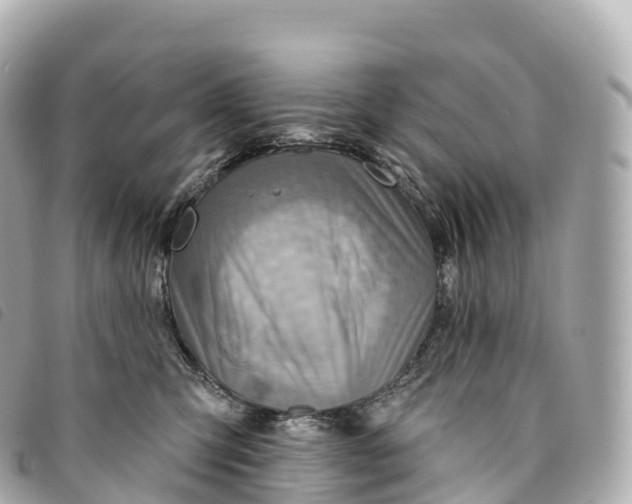X0000093500423200710261141
