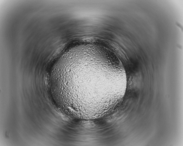 X0000093500424200710261141