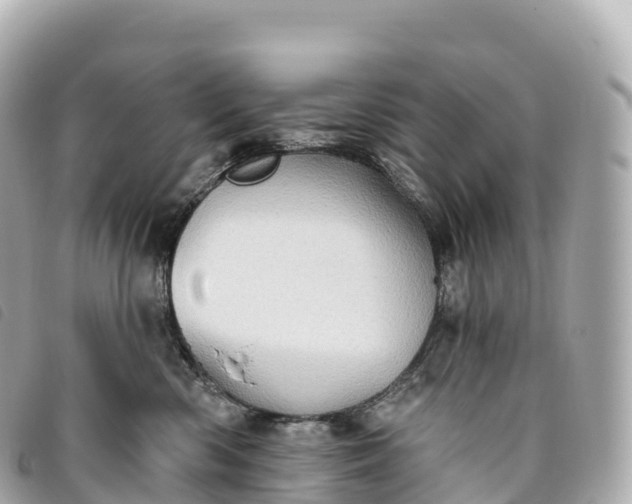 X0000093500426200710261141