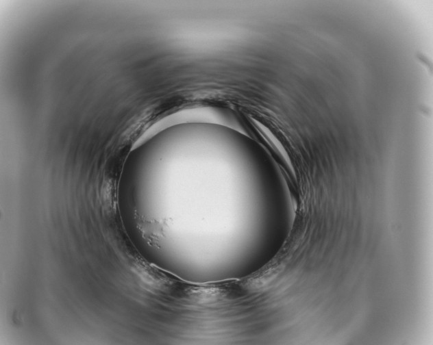 X0000093500428200710261141