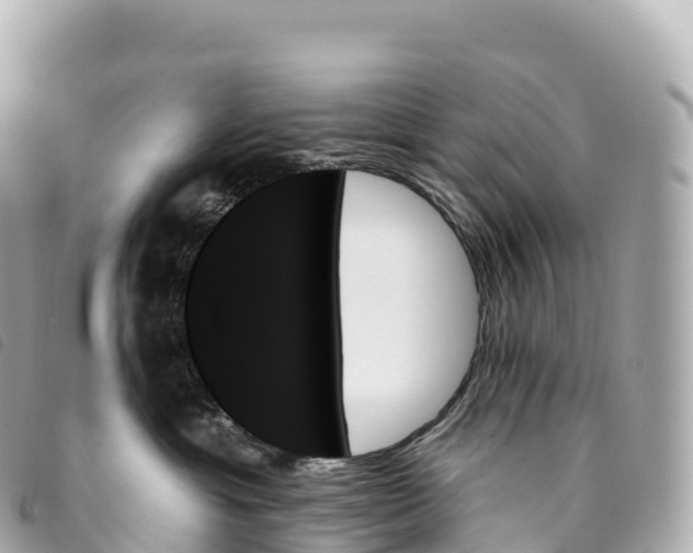 X0000093500429200710261141