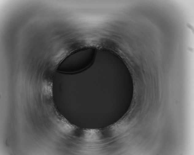 X0000093500432200710261141
