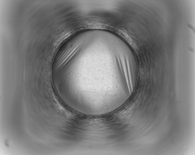X0000093500433200710261141