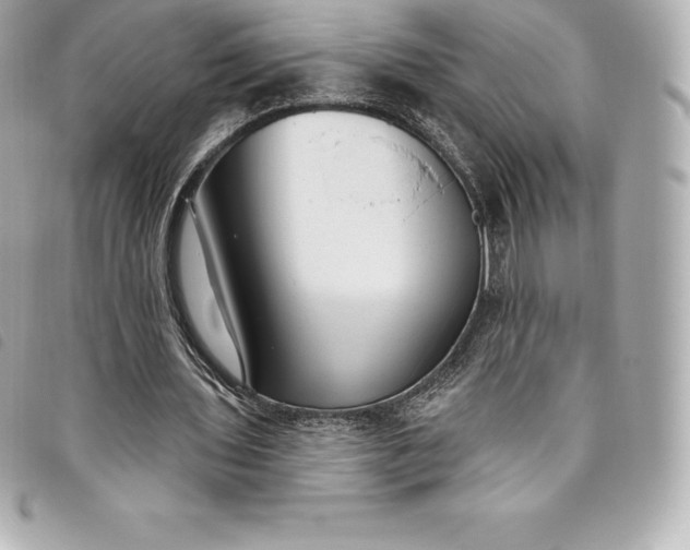 X0000093500435200710261141
