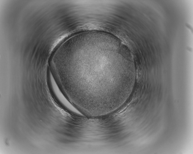 X0000093500438200710261141