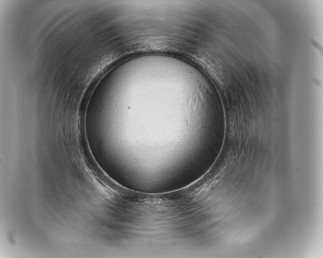 X0000093500439200710261141