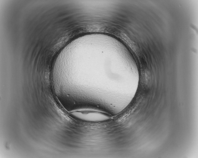 X0000093500441200710261141