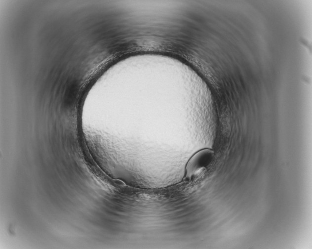 X0000093500442200710261141