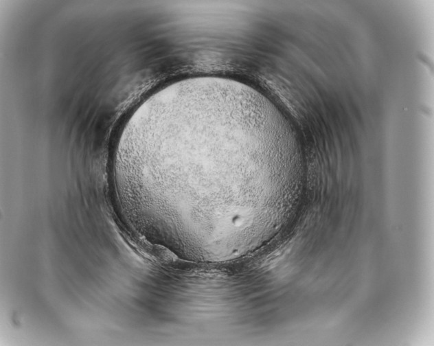 X0000093500443200710261141