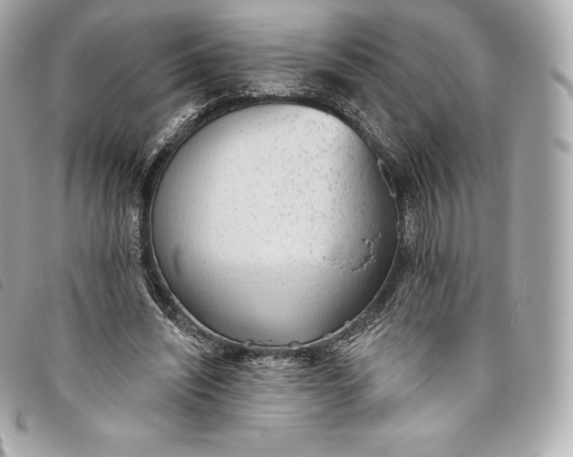 X0000093500444200710261141